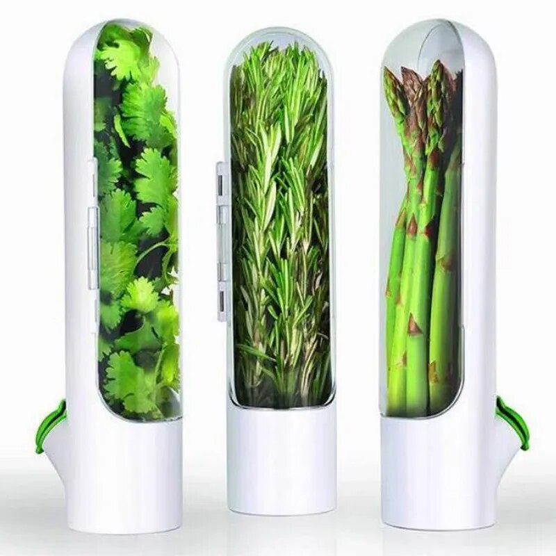 Fridge container for herbs with fresh water for long-lasting freshness